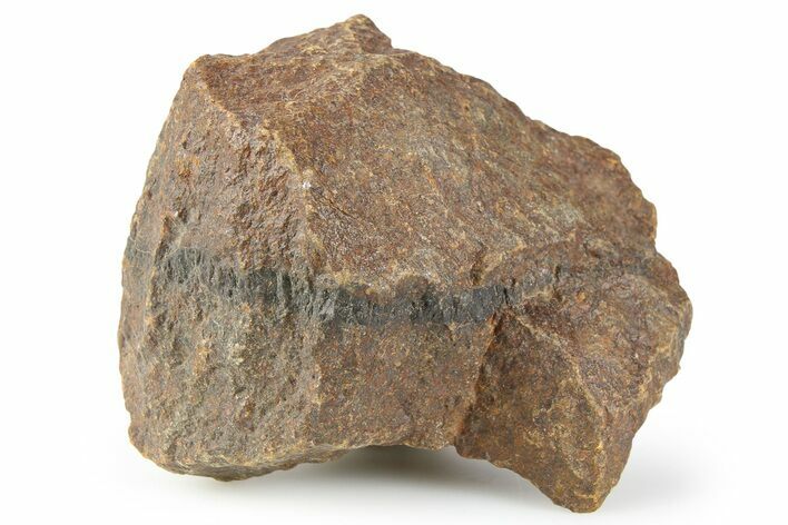 Chondrite Meteorite ( g) - Unclassified NWA #256578